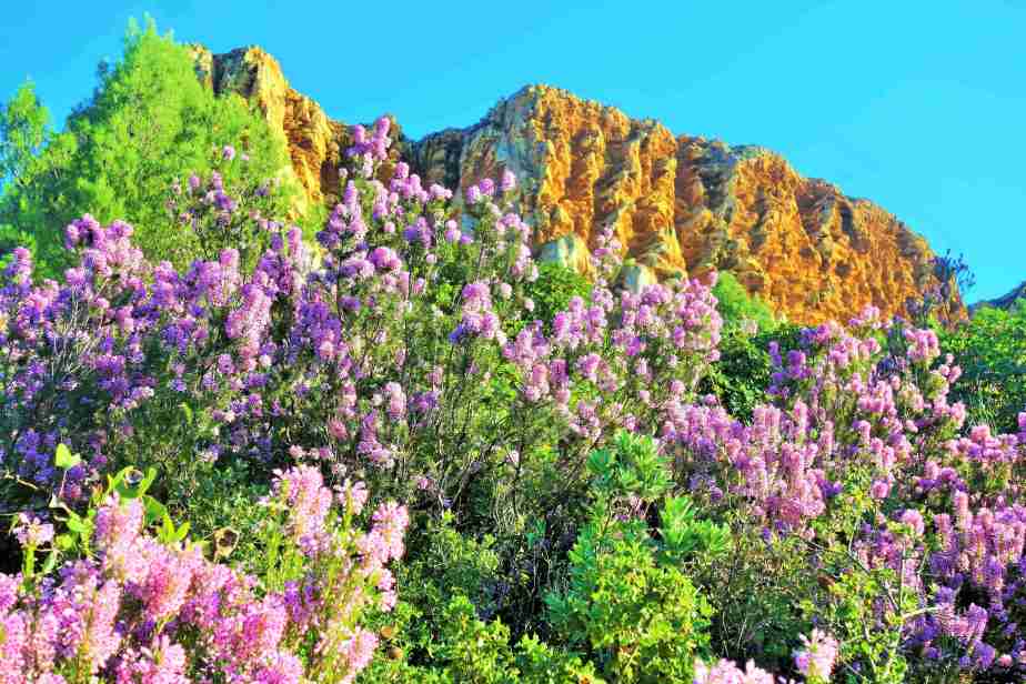 DSC02042 (2)-min-min